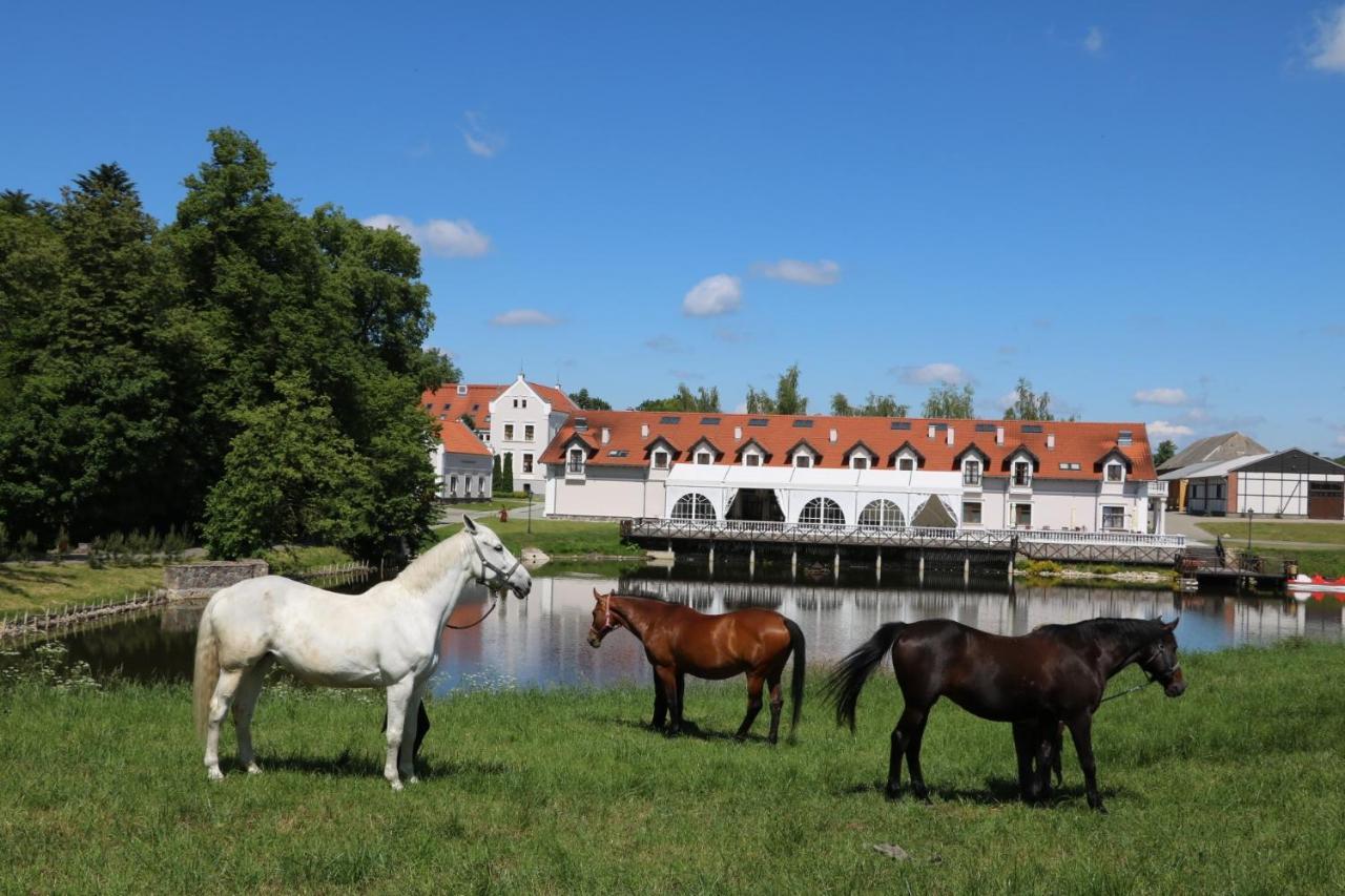 Palac Mortegi Hotel & Spa- Restauracja Szlachecka, Spa, Basen, Sauny, Jazda Konna, Mini Zoo- Luksus, Relaks I Przyroda W Jednym! Lubawa Exteriör bild